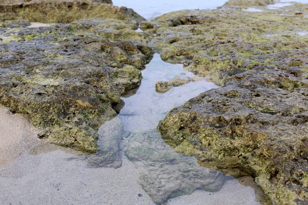 Textura Piedra Rocas Las Orillas Del Mar Mediterráneo Norte Del — Foto de Stock