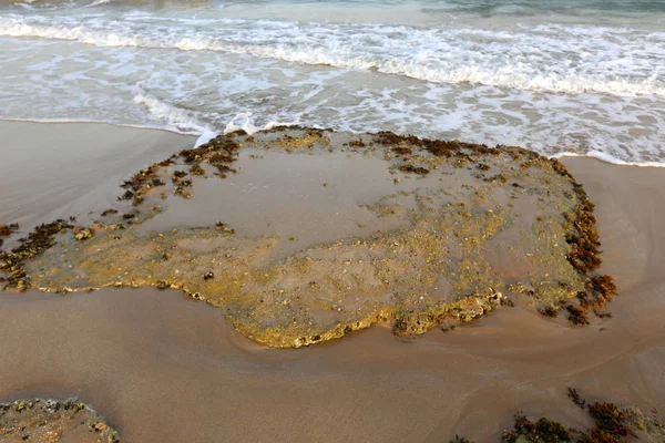 Textura Piedra Rocas Las Orillas Del Mar Mediterráneo Norte Del — Foto de Stock