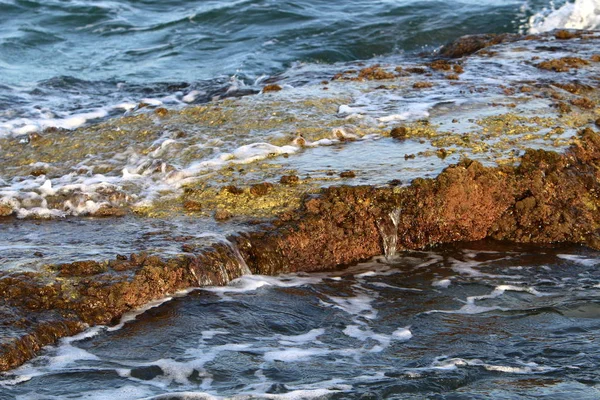 Textura Pedra Rochas Nas Margens Mar Mediterrâneo Norte Estado Israel — Fotografia de Stock