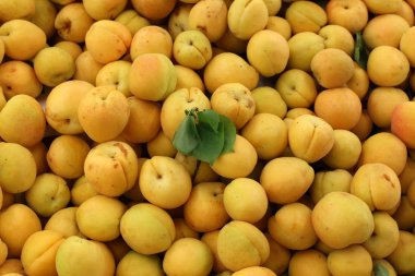 Taze meyve ve sebze İsrail'in Acre kentinde pazarda satılmaktadır 