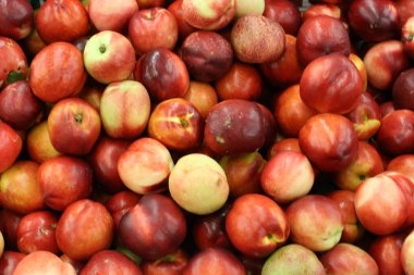 Taze meyve ve sebze İsrail'in Acre kentinde pazarda satılmaktadır 