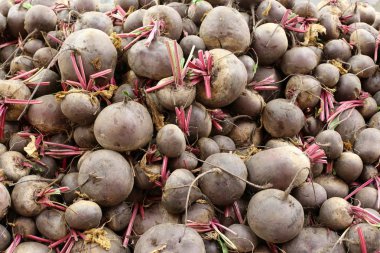 Taze meyve ve sebze İsrail'in Acre kentinde pazarda satılmaktadır 