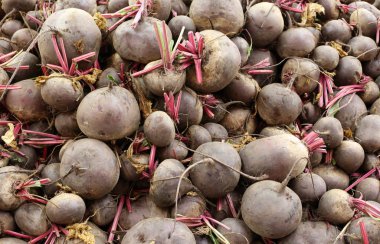 Taze meyve ve sebze İsrail'in Acre kentinde pazarda satılmaktadır 