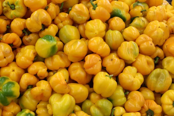 Las Frutas Verduras Frescas Venden Mercado Ciudad Acre Israel — Foto de Stock