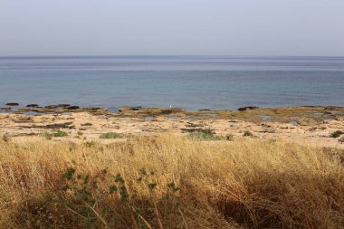 Akdeniz'de İsrail devletinin kuzey kıyısında 