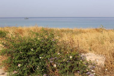 Akdeniz'de İsrail devletinin kuzey kıyısında 