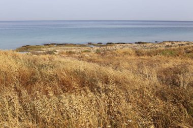 Akdeniz'de İsrail devletinin kuzey kıyısında 