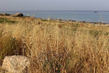 Akdeniz'de İsrail devletinin kuzey kıyısında 