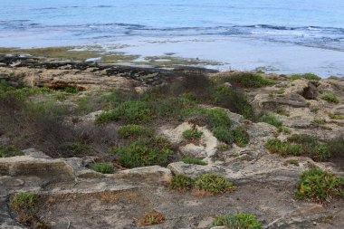Akdeniz'de İsrail devletinin kuzey kıyısında 