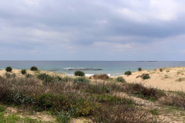 Akdeniz'de İsrail devletinin kuzey kıyısında 