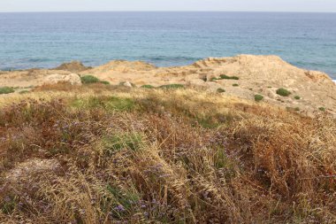 Akdeniz'de İsrail devletinin kuzey kıyısında 