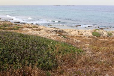 Akdeniz'de İsrail devletinin kuzey kıyısında 