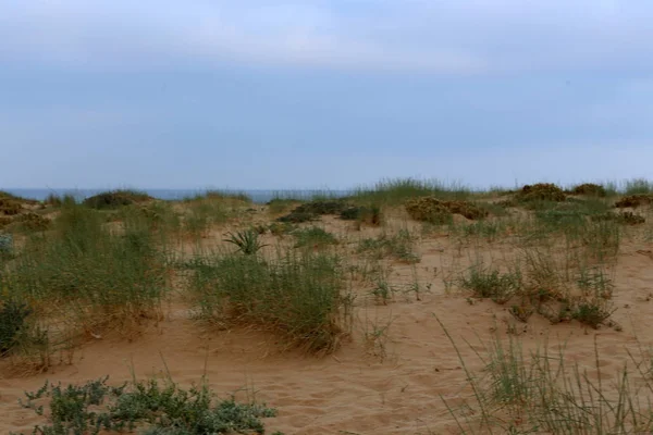 Kust Van Middellandse Zee Het Noorden Van Staat Israël — Stockfoto