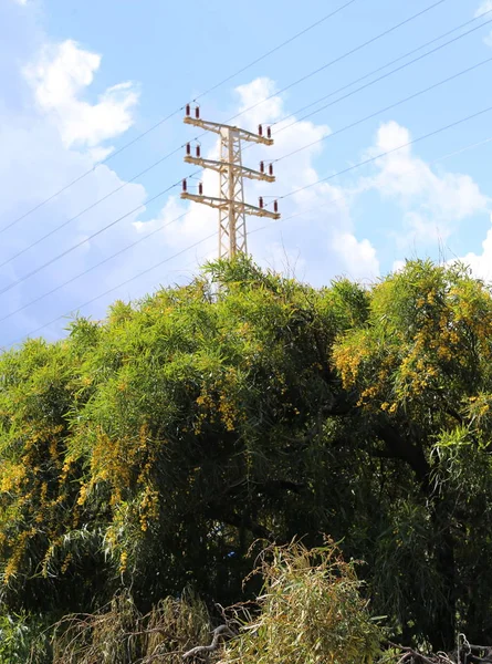 Fils Électriques Sur Support Pour Lequel Électricité Dans Nord Israël — Photo