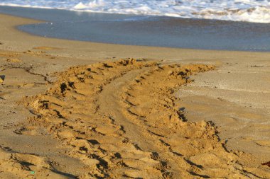 Israil Eyaleti kuzeyinde Akdeniz kıyılarında kum ayak izleri 