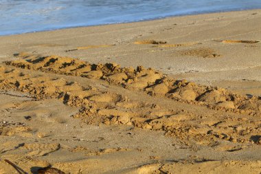 Israil Eyaleti kuzeyinde Akdeniz kıyılarında kum ayak izleri 