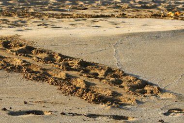 Israil Eyaleti kuzeyinde Akdeniz kıyılarında kum ayak izleri 