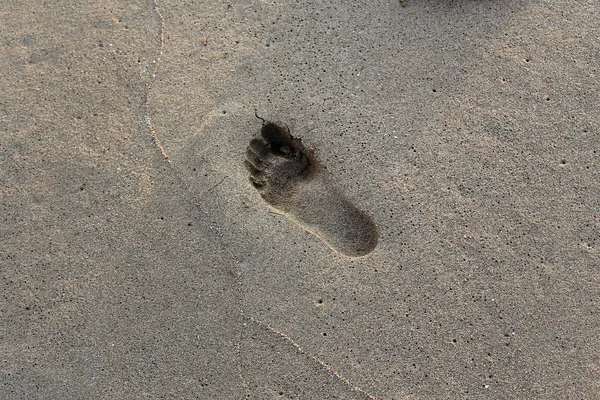 イスラエルの状態の北に地中海の海岸の砂の足跡 — ストック写真