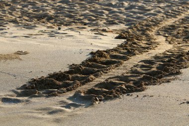 Israil Eyaleti kuzeyinde Akdeniz kıyılarında kum ayak izleri 