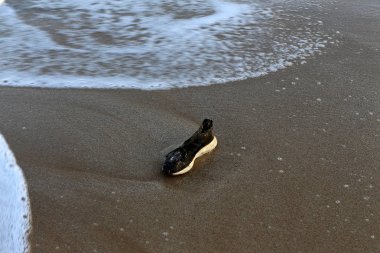 Israil Eyaleti kuzeyinde Akdeniz kıyılarında kum ayak izleri 