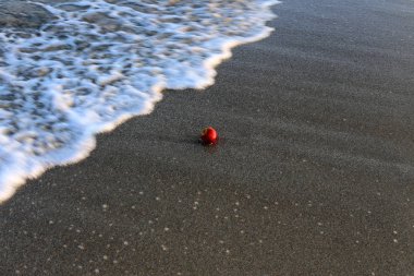 Israil Eyaleti kuzeyinde Akdeniz kıyılarında kum ayak izleri 