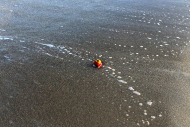 Israil Eyaleti kuzeyinde Akdeniz kıyılarında kum ayak izleri 