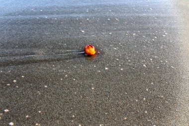Israil Eyaleti kuzeyinde Akdeniz kıyılarında kum ayak izleri 