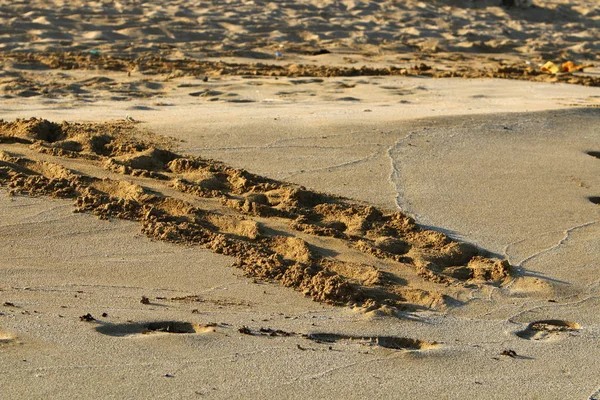 Voetafdrukken Het Zand Aan Oevers Van Middellandse Zee Het Noorden — Stockfoto