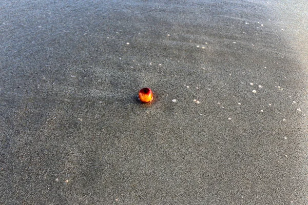 Israil Eyaleti kuzeyinde Akdeniz kıyılarında kum ayak izleri 