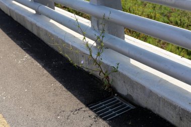 Köprü - bir engel dikilmiş bir yapay yapısı 