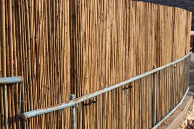 Kuzey Israil 'de Akdeniz kıyılarında bir şehir parkında çit 