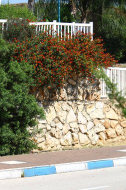 Kuzey Israil 'de Akdeniz kıyılarında bir şehir parkında çit 