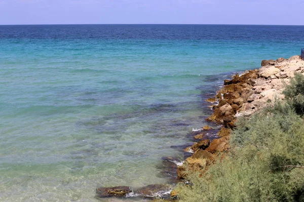 Costa Del Mar Mediterráneo Norte Del Estado Israel Israel —  Fotos de Stock
