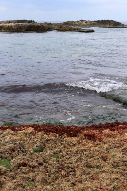 İsrail Devleti'nin kuzeyinde Akdeniz kıyıları 