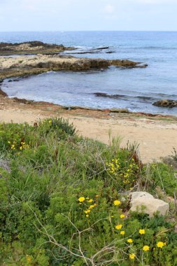 İsrail Devleti'nin kuzeyinde Akdeniz kıyıları 
