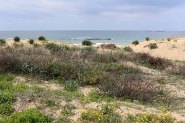 İsrail Devleti'nin kuzeyinde Akdeniz kıyıları 