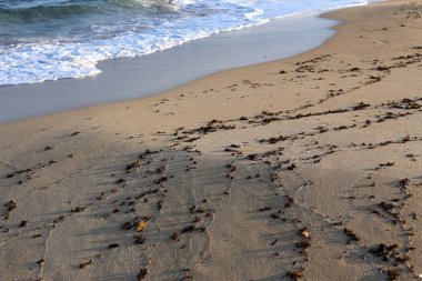 İsrail Devleti'nin kuzeyinde Akdeniz kıyıları 