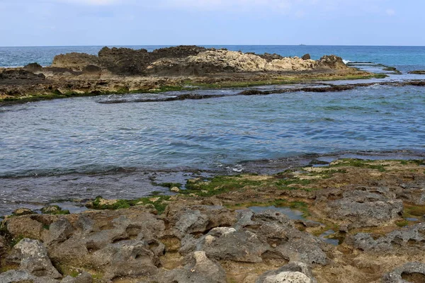 Kust Van Middellandse Zee Het Noorden Van Staat Israël Israël — Stockfoto