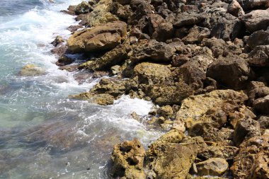 İsrail'in kuzeyinde Akdeniz kıyısında taş ve kabukları 
