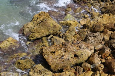 İsrail'in kuzeyinde Akdeniz kıyısında taş ve kabukları 