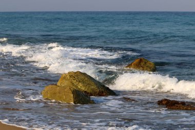İsrail'in kuzeyinde Akdeniz kıyısında taş ve kabukları 