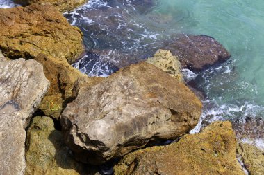 İsrail'in kuzeyinde Akdeniz kıyısında taş ve kabukları 