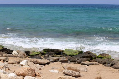 İsrail'in kuzeyinde Akdeniz kıyısında taş ve kabukları 