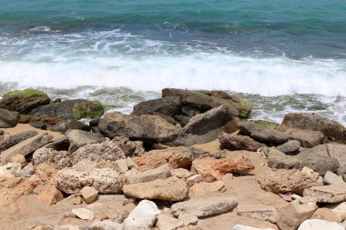 İsrail'in kuzeyinde Akdeniz kıyısında taş ve kabukları 