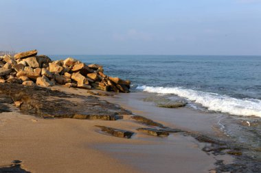 İsrail'in kuzeyinde Akdeniz kıyısında taş ve kabukları 