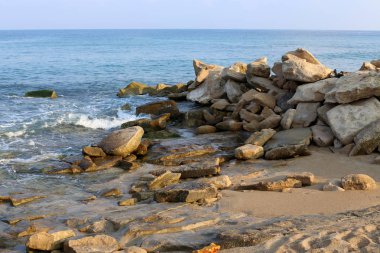 İsrail'in kuzeyinde Akdeniz kıyısında taş ve kabukları 