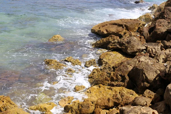 Каміння Снаряди Узбережжі Середземного Моря Півночі Ізраїлю — стокове фото