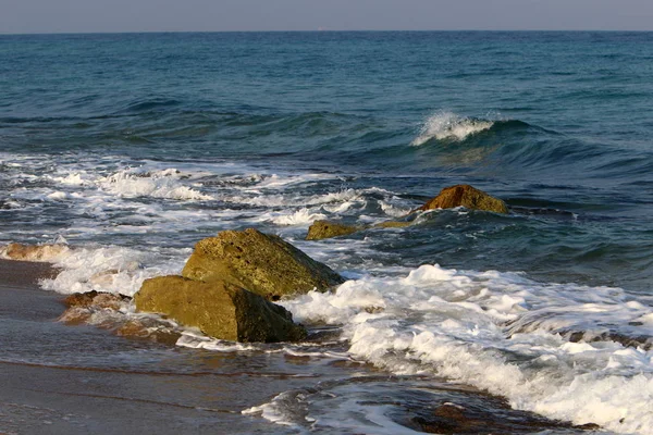 Πέτρες Και Κοχύλια Στις Ακτές Της Μεσογείου Στο Βόρειο Τμήμα — Φωτογραφία Αρχείου