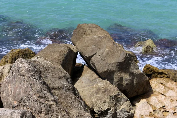 Pedras Conchas Costa Mediterrânea Norte Israel — Fotografia de Stock