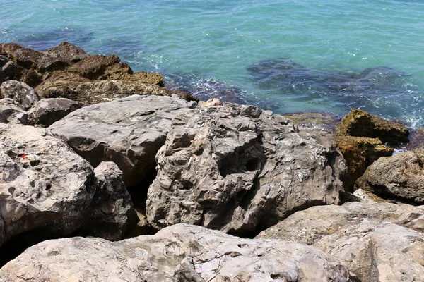 İsrail'in kuzeyinde Akdeniz kıyısında taş ve kabukları 